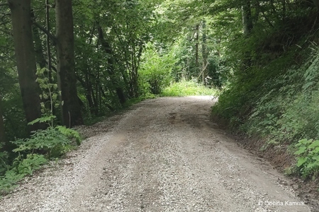 Urejanje makadamske ceste Špitalič - Doline (3)